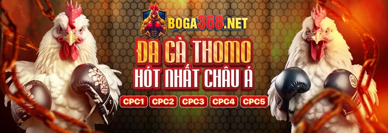 Đá Gà Trực Tuyến Hấp Dẫn tại fv99 bet